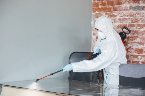 Best Dehumidification Services  in Santa Fe Springs, CA