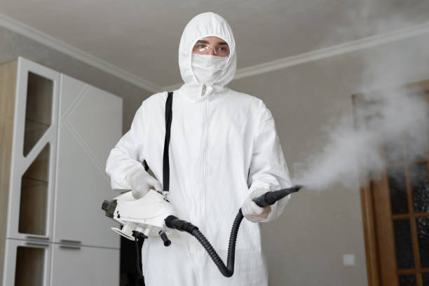 Best Mold Prevention Services  in Santa Fe Springs, CA