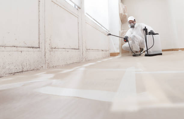 Best Mold Odor Removal Services  in Santa Fe Springs, CA